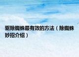 驱除蜘蛛最有效的方法（除蜘蛛妙招介绍）