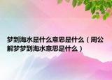 梦到海水是什么意思是什么（周公解梦梦到海水意思是什么）