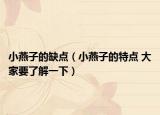 小燕子的缺点（小燕子的特点 大家要了解一下）