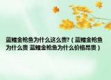 蓝鳍金枪鱼为什么这么贵?（蓝鳍金枪鱼为什么贵 蓝鳍金枪鱼为什么价格昂贵）