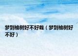 梦到榆树好不好栽（梦到榆树好不好）