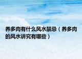 养多肉有什么风水禁忌（养多肉的风水讲究有哪些）