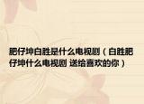 肥仔坤白胜是什么电视剧（白胜肥仔坤什么电视剧 送给喜欢的你）
