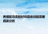 养殖鸵鸟卖的好吗具体问题需要具体分析