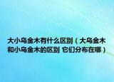 大小乌金木有什么区别（大乌金木和小乌金木的区别 它们分布在哪）