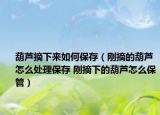 葫芦摘下来如何保存（刚摘的葫芦怎么处理保存 刚摘下的葫芦怎么保管）