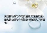 黄连的功效与作用及禁忌,用法及用量（田七的功效与作用禁忌 带你深入了解田七）