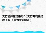 文竹能开花结果吗?（文竹开花能结种子吗 下面为大家解答）