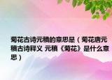 菊花古诗元稹的意思是（菊花唐元稹古诗释义 元稹《菊花》是什么意思）