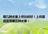 哪几种水果上供比较好（上供最适宜用哪五种水果）
