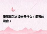 柔荑花怎么读音是什么（柔荑的读音）