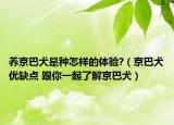 养京巴犬是种怎样的体验?（京巴犬优缺点 跟你一起了解京巴犬）