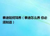 泰迪如何饲养（泰迪怎么养 你必须知道）