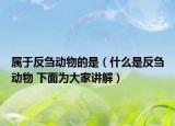 属于反刍动物的是（什么是反刍动物 下面为大家讲解）