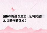 因特网是什么意思（因特网是什么 因特网的含义）
