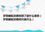 梦到被蛇追着咬到了是什么意思（梦到被蛇追着咬代表什么）