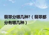 翡翠分哪几种?（翡翠都分有哪几种）