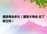 黑狼寿命多长（黑狼犬寿命 你了解过吗）