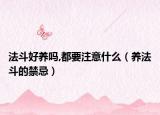 法斗好养吗,都要注意什么（养法斗的禁忌）
