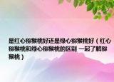 是红心猕猴桃好还是绿心猕猴桃好（红心猕猴桃和绿心猕猴桃的区别 一起了解猕猴桃）