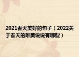 2021春天美好的句子（2022关于春天的唯美说说有哪些）
