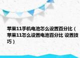 苹果11手机电池怎么设置百分比（苹果11怎么设置电池百分比 设置技巧）