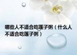 哪些人不适合吃莲子粥（什么人不适合吃莲子粥）