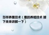 怎样养蚕技术（蚕的养殖技术 接下来来讲解一下）