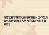 形容工作非常努力的词有哪些（工作努力怎么形容 形容工作努力的词语与句子有哪些）