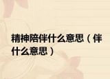 精神陪伴什么意思（伴什么意思）
