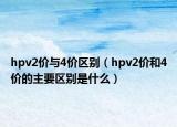 hpv2价与4价区别（hpv2价和4价的主要区别是什么）