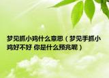 梦见抓小鸡什么意思（梦见手抓小鸡好不好 你是什么预兆呢）