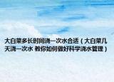 大白菜多长时间浇一次水合适（大白菜几天浇一次水 教你如何做好科学浇水管理）