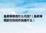 鱼腥草根有什么功效?（鱼腥草根的功效和作用是什么）