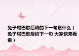 兔子尾巴歇后语的下一句是什么（兔子尾巴歇后语下一句 大家快来看看）