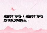 吊兰怎样移栽?（吊兰怎样移栽 怎样轻松移植吊兰）