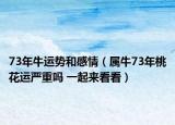 73年牛运势和感情（属牛73年桃花运严重吗 一起来看看）