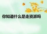 你知道什么是走资派吗