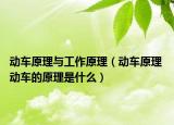 动车原理与工作原理（动车原理 动车的原理是什么）