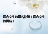 适合女生的网名沙雕（适合女生的网名）