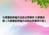 九里香的养殖方法及注意事项 九里香价格（九里香的养殖方法和注意事项介绍）