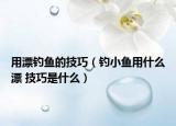用漂钓鱼的技巧（钓小鱼用什么漂 技巧是什么）