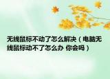 无线鼠标不动了怎么解决（电脑无线鼠标动不了怎么办 你会吗）