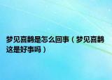 梦见喜鹊是怎么回事（梦见喜鹊 这是好事吗）