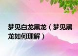 梦见白龙黑龙（梦见黑龙如何理解）