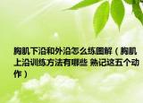 胸肌下沿和外沿怎么练图解（胸肌上沿训练方法有哪些 熟记这五个动作）