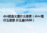 dm的含义是什么意思（dmr是什么意思 什么是DMR）