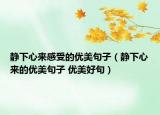 静下心来感受的优美句子（静下心来的优美句子 优美好句）