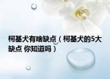 柯基犬有啥缺点（柯基犬的5大缺点 你知道吗）