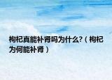 枸杞真能补肾吗为什么?（枸杞为何能补肾）